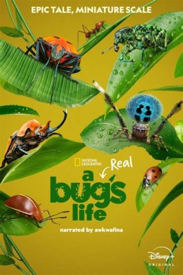 how did they film a real bug's life the role of music in capturing the essence of bugs' daily activities?